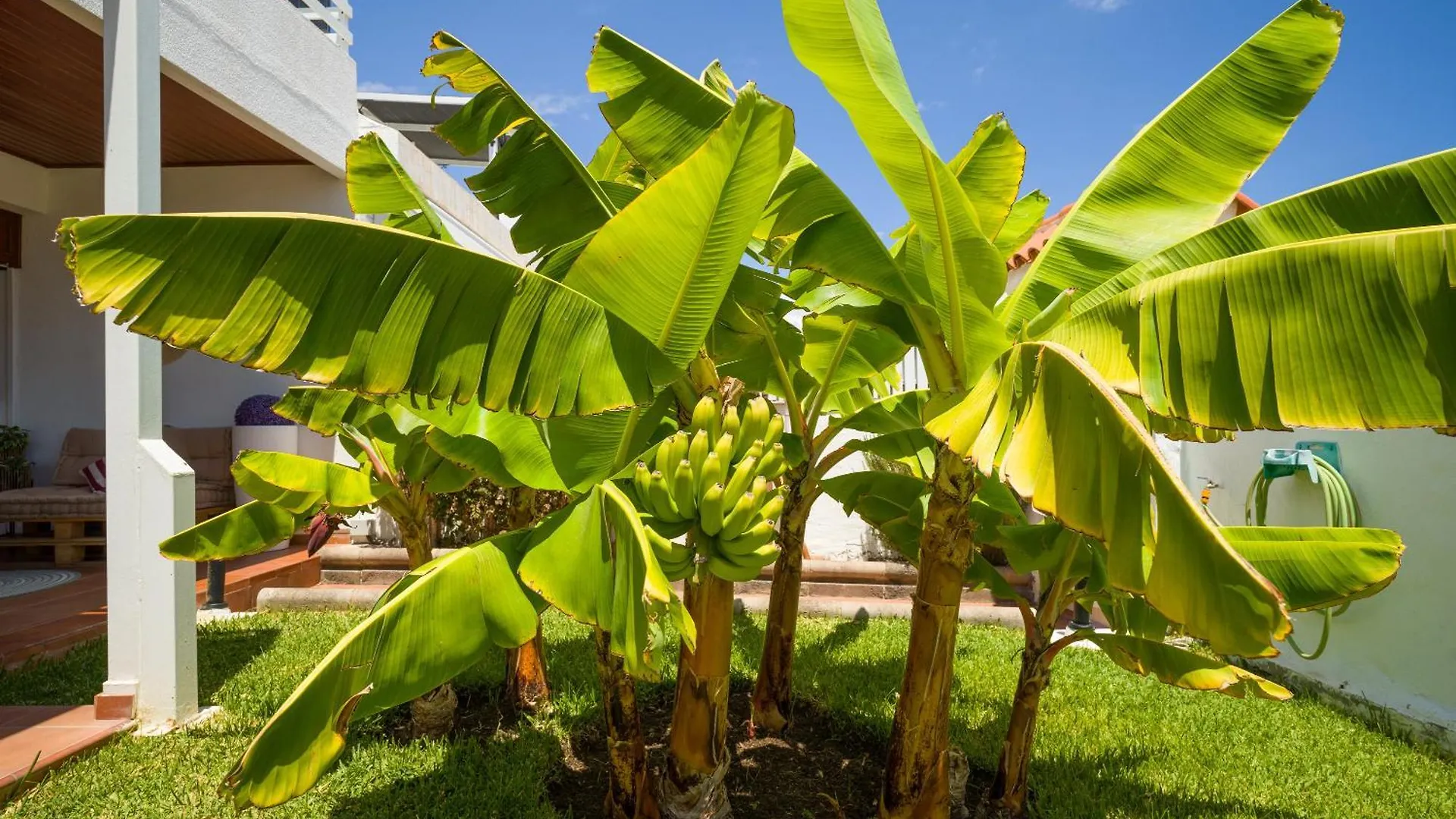 Prázdninový dům Banana House In Top Location By Tenpropertiesgc Maspalomas